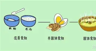 Scout比分优势明显再成焦点的简单介绍