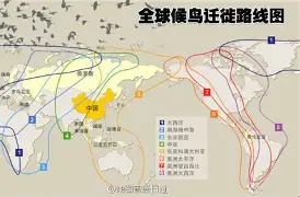独家:Faker球队14人名单全(全职从叶修对线faker开始笔趣阁) 独家:Faker球队14人名单全(全职从叶修对线faker开始笔趣阁)